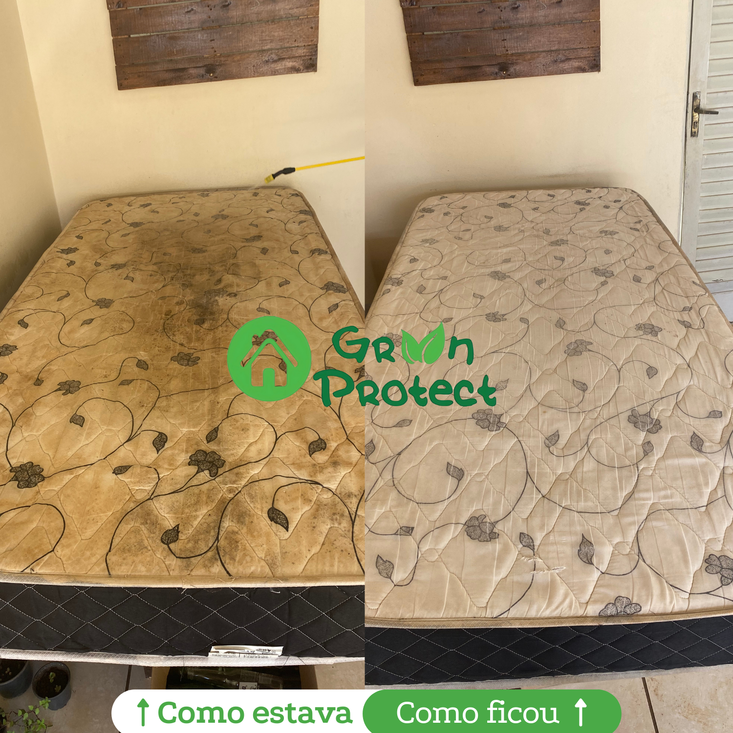 Lavagem-de-Colchao-em-Sao-Paulo-Green-Protect.png